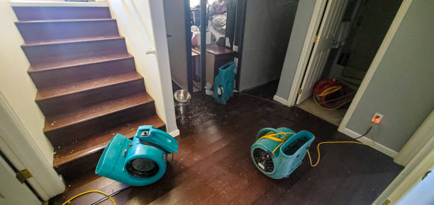 Best Water damage restoration near me  in Tobaccoville, NC