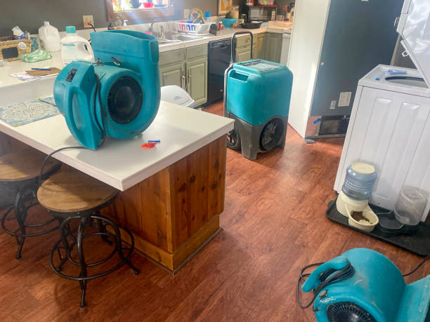 Best Residential water damage restoration  in Tobaccoville, NC