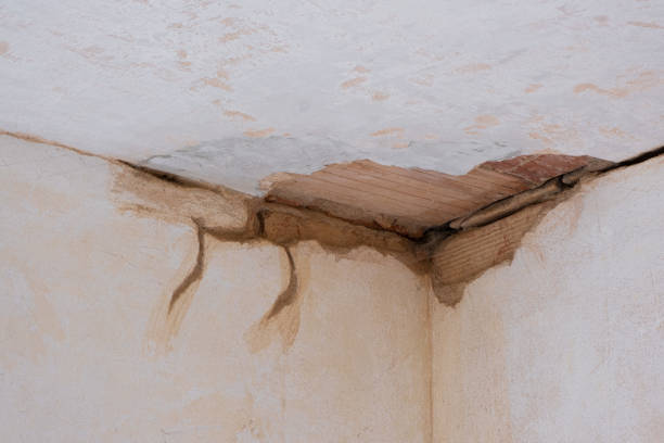 Local water damage restoration in Tobaccoville, NC