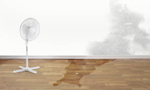 Trusted Tobaccoville, NC Water damage restoration Experts