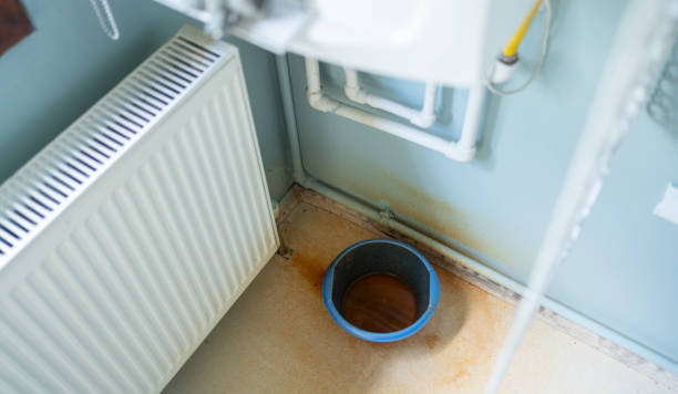 Best Water damage cleanup near me  in Tobaccoville, NC