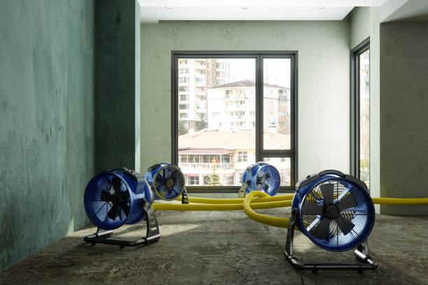 Best 24-hour water damage restoration  in Tobaccoville, NC